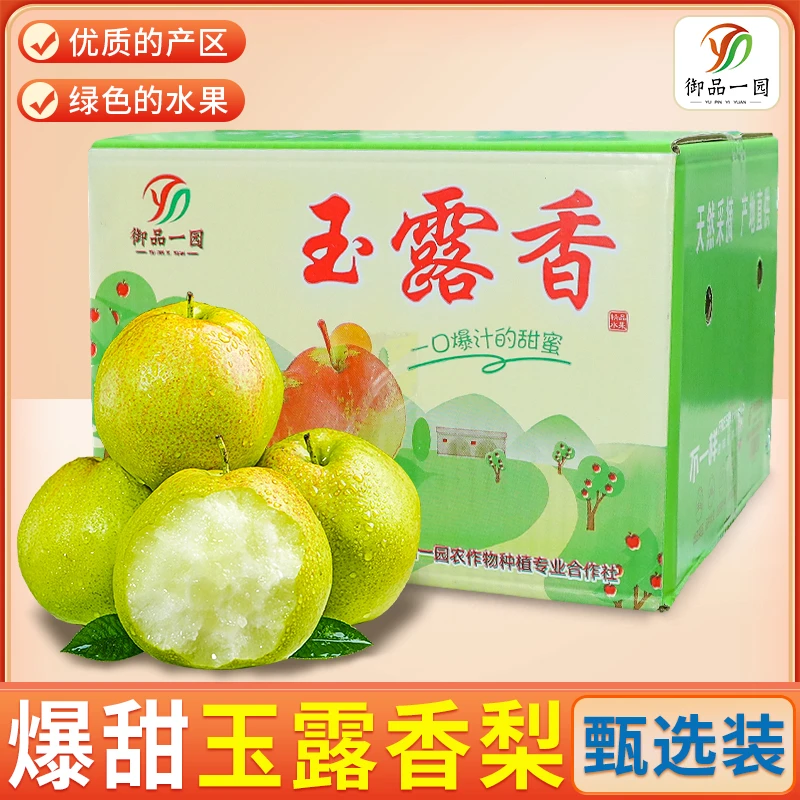 【御品一园】正宗山西玉露香梨新鲜水果当季整箱包邮现摘酥梨薄皮脆
