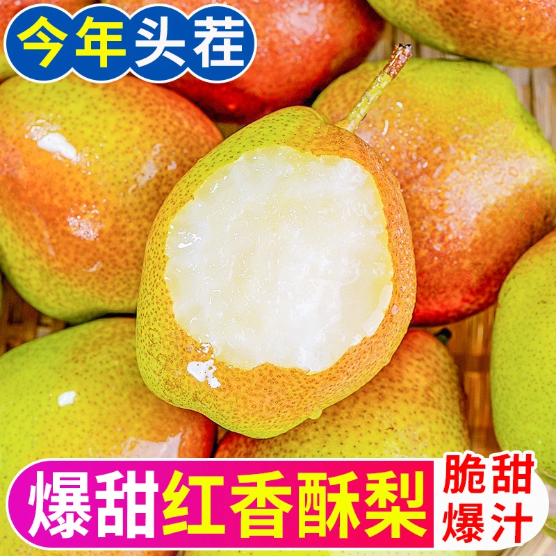 【御品一园】山西运城红香酥梨2/3斤新鲜水果当季整箱清脆细腻汁水