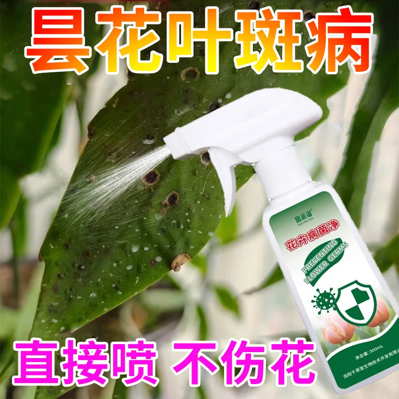 黄叶叶斑用】昙花病害专用抑菌抗病花肥花卉绿植通用不伤花营养液