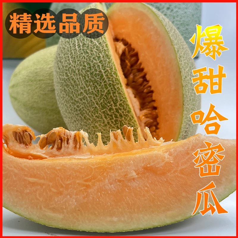 【发顺丰】哈密瓜新鲜一箱水果当季整箱包邮现季网纹瓜香甜蜜瓜应季