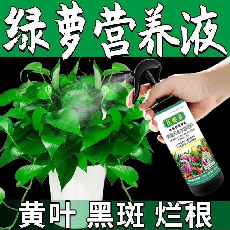 【拯救黄叶】绿萝营养液急救黄叶烂根枯萎免稀释状根有机液体花肥