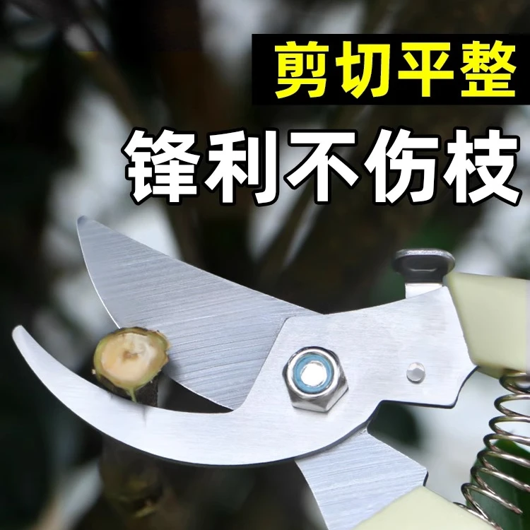 修剪树枝剪刀剪枝园林粗枝果树花剪盆景园艺花强力花艺剪花枝剪子