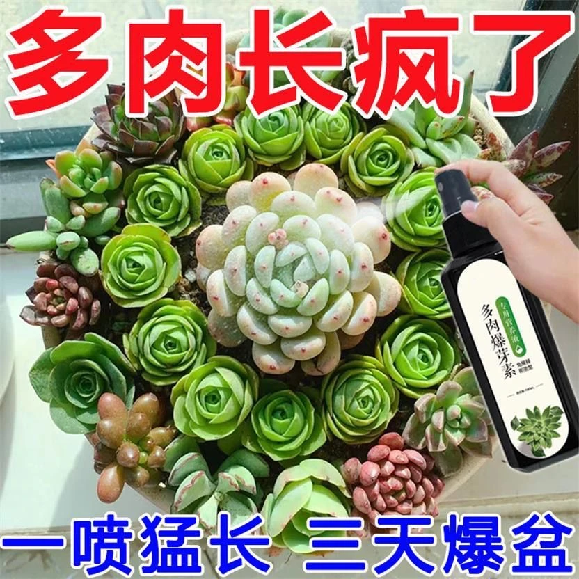 多肉专用营养液爆芽催芽生根液烂叶掉叶增色防徒长液体有机肥料