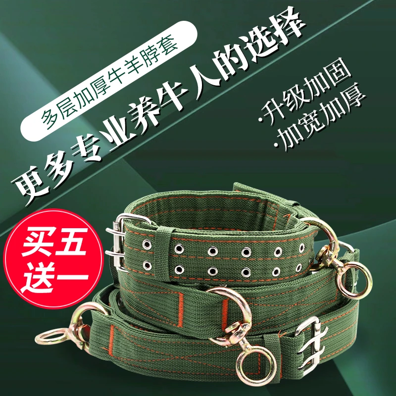 加厚栓牛脖套保险扣牛羊用项圈育肥牛脖子套拴牛绳子养牛用zbj