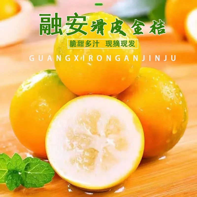 正宗广西融安脆皮金桔滑皮金桔纯甜多汁小金桔孕妇水果小橘子