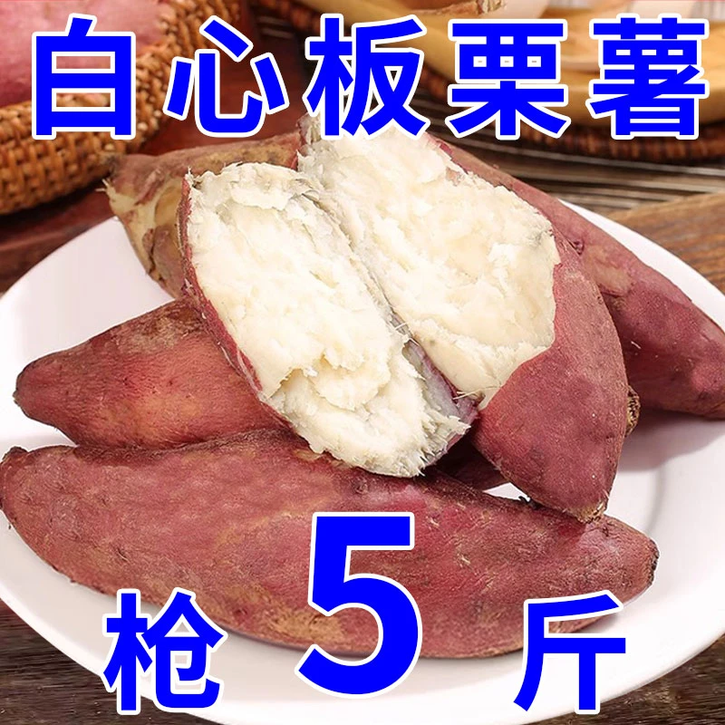 白心板栗薯红皮白心红薯番薯白瓤白肉粉糯面地瓜山芋整箱包邮批发