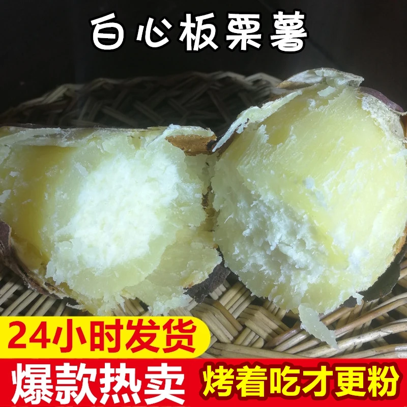 豫薯香白心发货新鲜现挖白心板栗薯甜发货2斤5斤老品种地瓜番薯