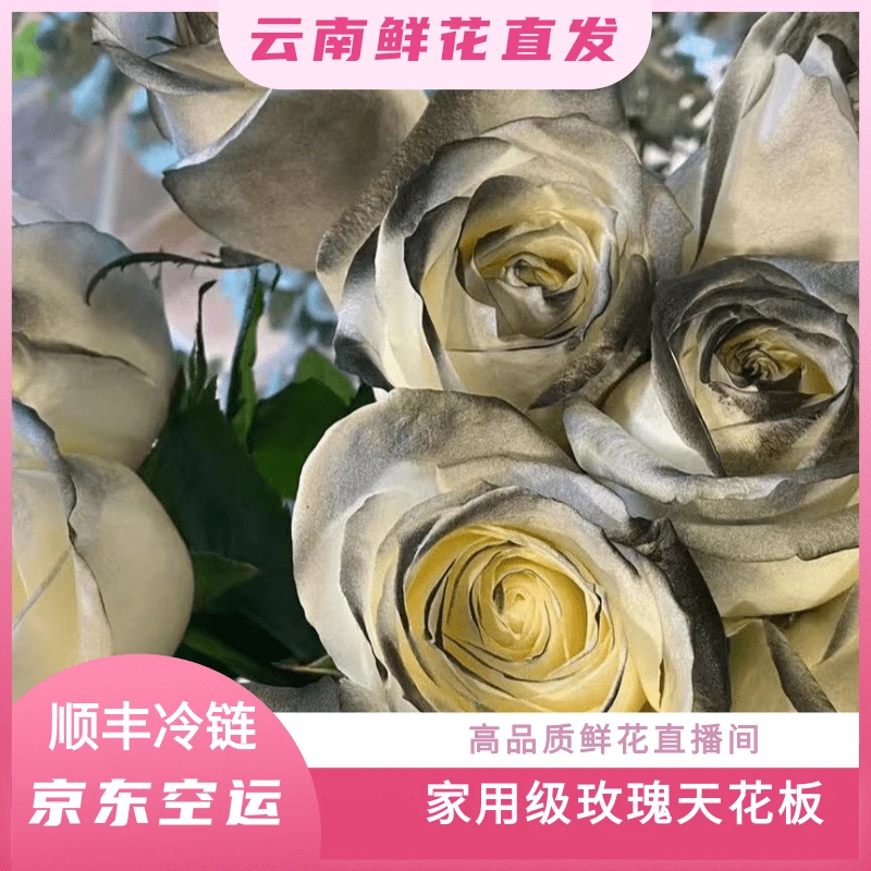 颜花专属【黑骑士玫瑰】云南基地鲜花直发