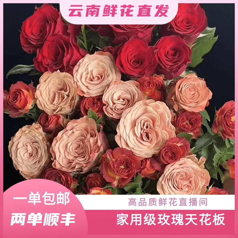 颜花专属【巧克力+卡布奇诺+红玫瑰】云南鲜花直发收到深水醒花~