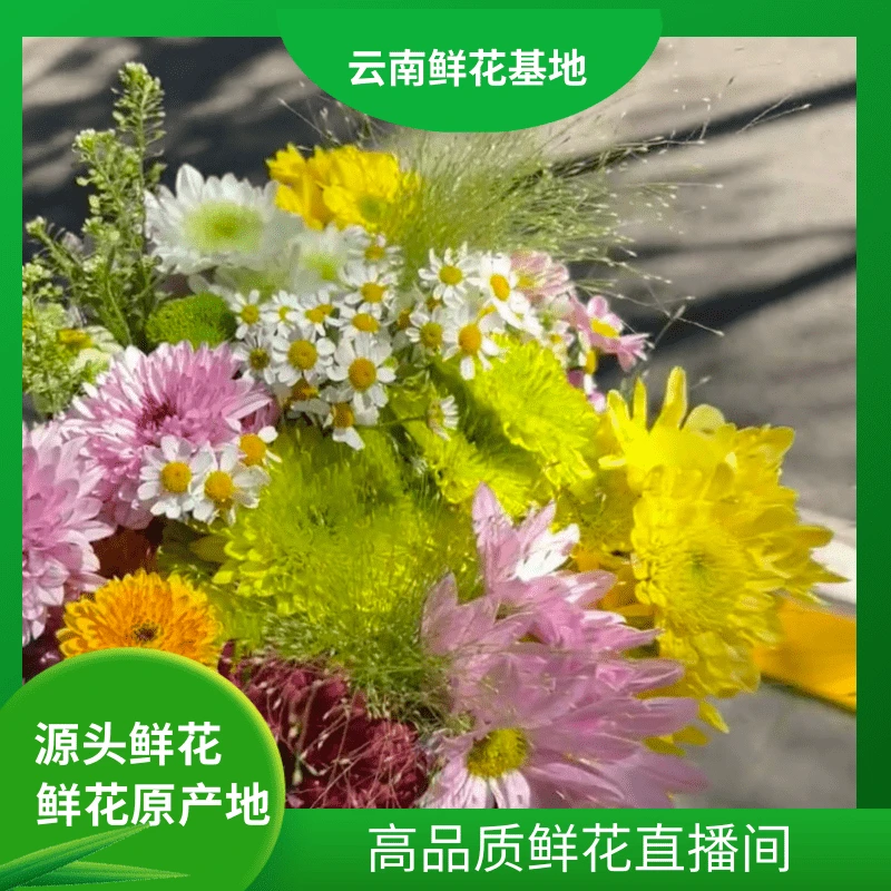 颜花【宠粉花束】 云南鲜花基地直发