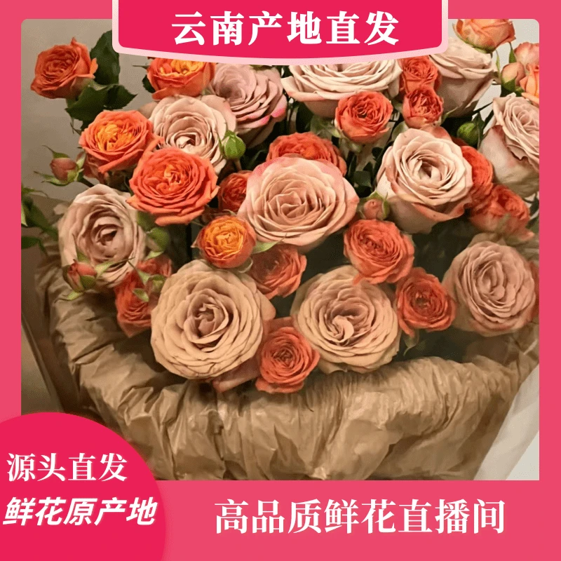 颜花专属【卡布奇诺+尤加利+橙芭比】 云南鲜花基地 收到深水醒花~