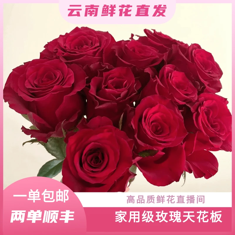颜花专属【红玫瑰+香水百合福利】云南鲜花基地直发 收到深水醒花