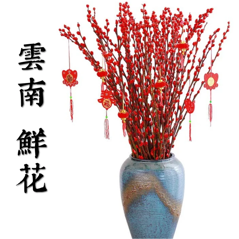 鲜花甄选【银柳】云南鲜花基地直发