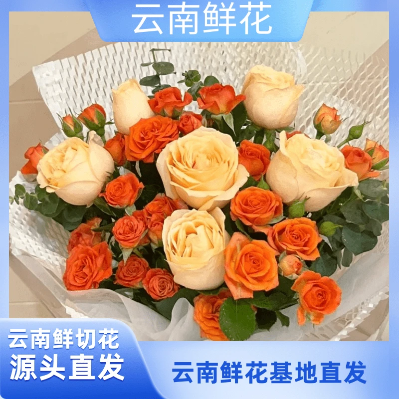 小花【香槟+橙色芭比】云南基地直发