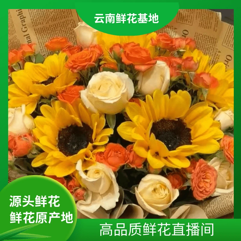 颜花【爆款心想事成】云南鲜花基地直发