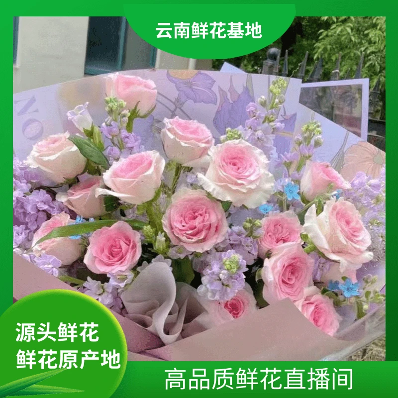 颜花【洛神玫瑰+紫罗兰】云南基地直发 适合居家养的长期花