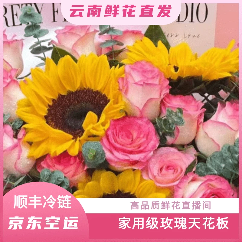 颜花专属【艾莎+绿心向日葵福利】云南鲜花基地直发