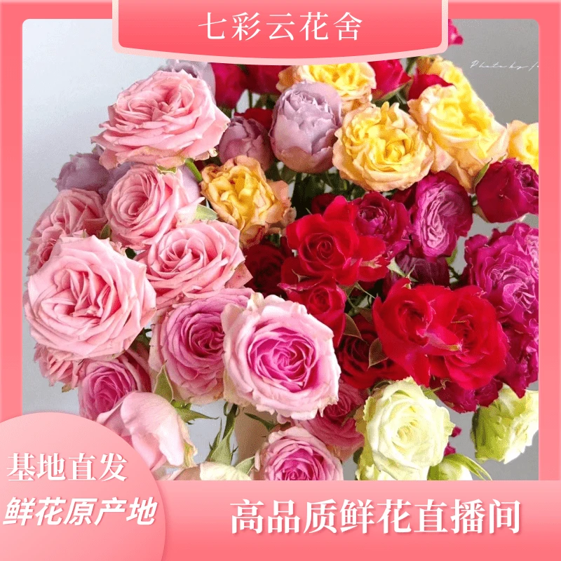 七彩云花【40支玫瑰福利】云南鲜花基 收到深水醒花