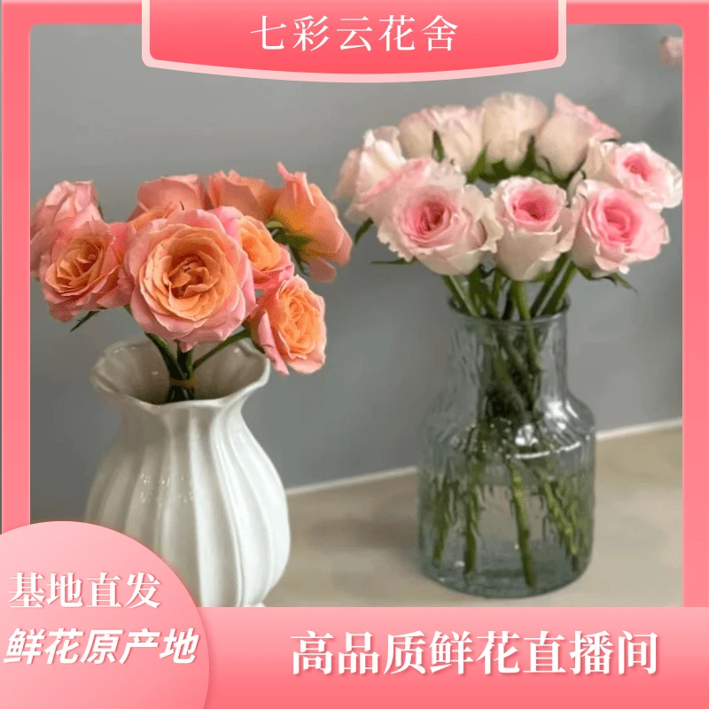 七彩云花【闺蜜+弗洛伊德+调香师】云南鲜花 收到记得深水醒花哦~