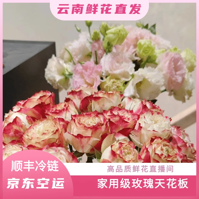 颜花专属【苹果杰克+桔梗】云南鲜花基地直发 收到深水醒花~