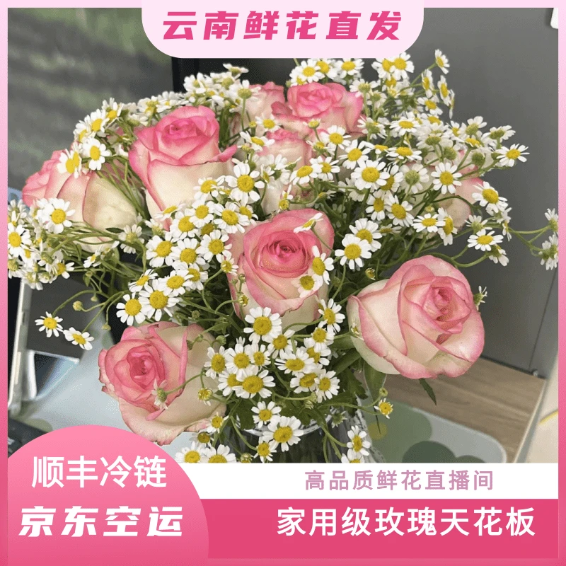 七彩云花【艾莎+洋甘菊+绣球福利】云南基地鲜花直发 收到深水醒花~