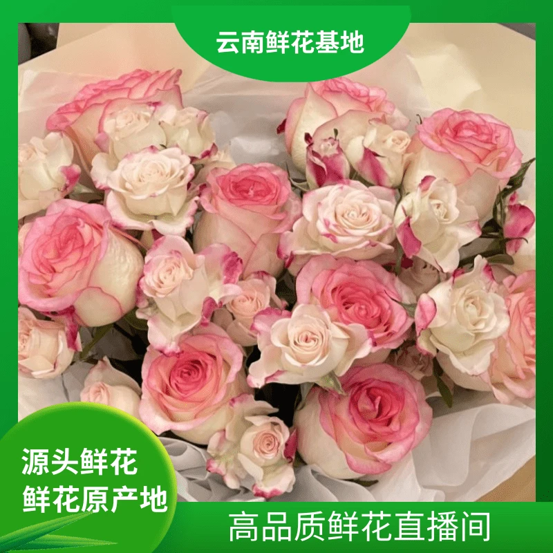 颜花【艾莎+碎冰蓝折射】云南鲜花直发两单升级顺丰/空运