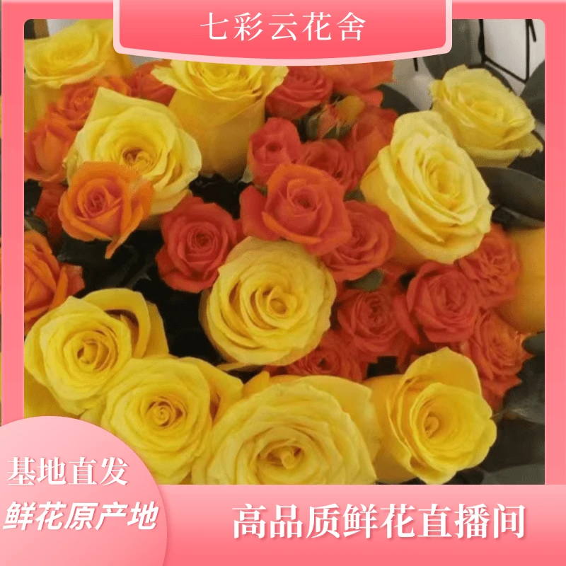 七彩云花【金枝玉叶+橙色芭比】