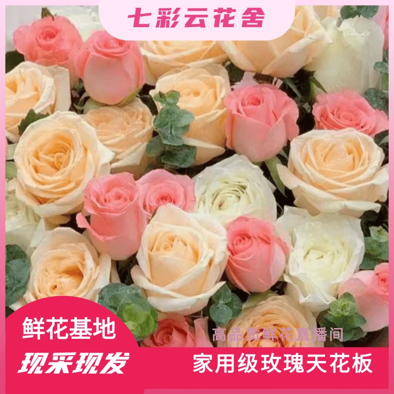 七彩云花【香槟+戴安娜福利】云南鲜花基地直发 收到深水醒花`