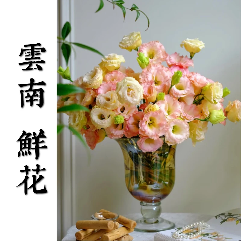 鲜花甄选【香槟洋桔梗】云南鲜花基地直发