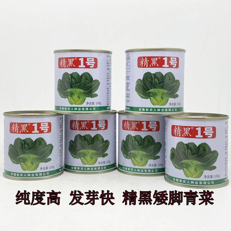 精黑1号矮脚青菜种籽高产耐寒矮箕束腰黑叶菜种子原装100克