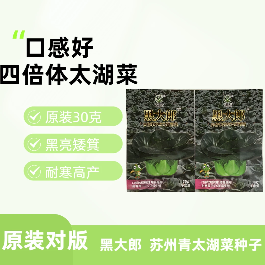 黑大郎黑叶矮脚苏州青种籽高产耐寒矮箕黑亮太湖青菜种子30克