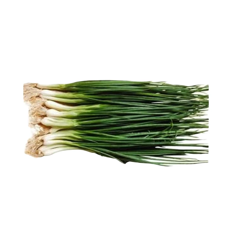 新鲜小葱250克一份