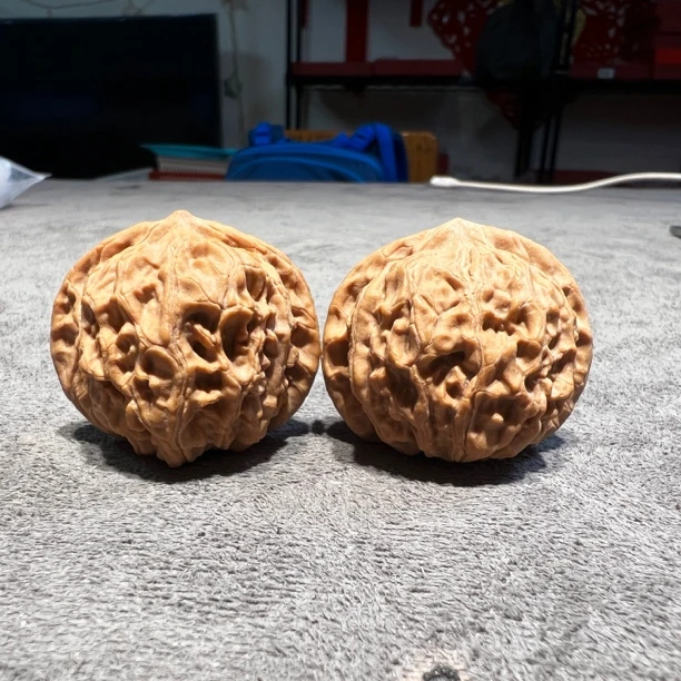 怀柔老款狮子头35尺寸文玩好物