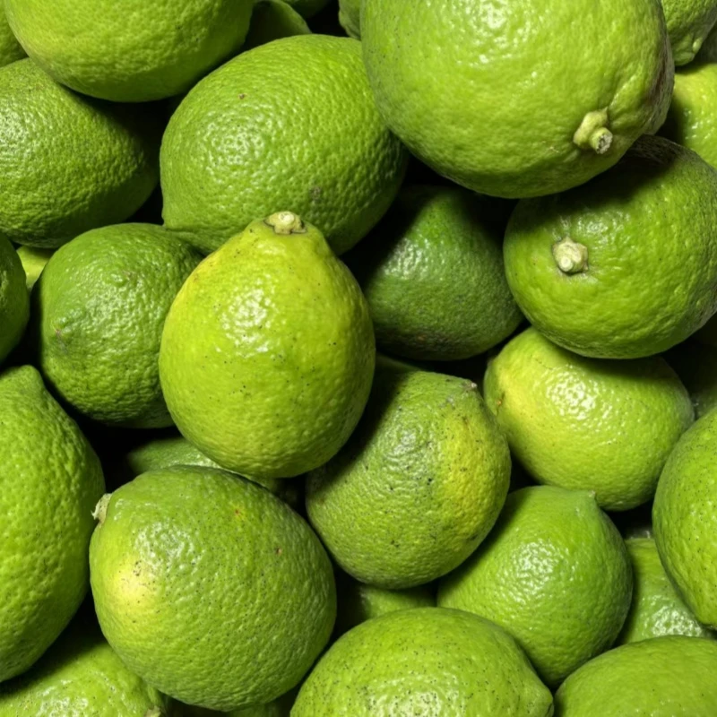 四川安岳柠檬青果