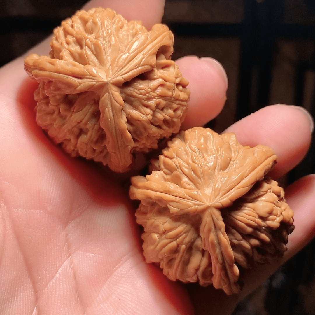 文玩核桃把件40白奔
