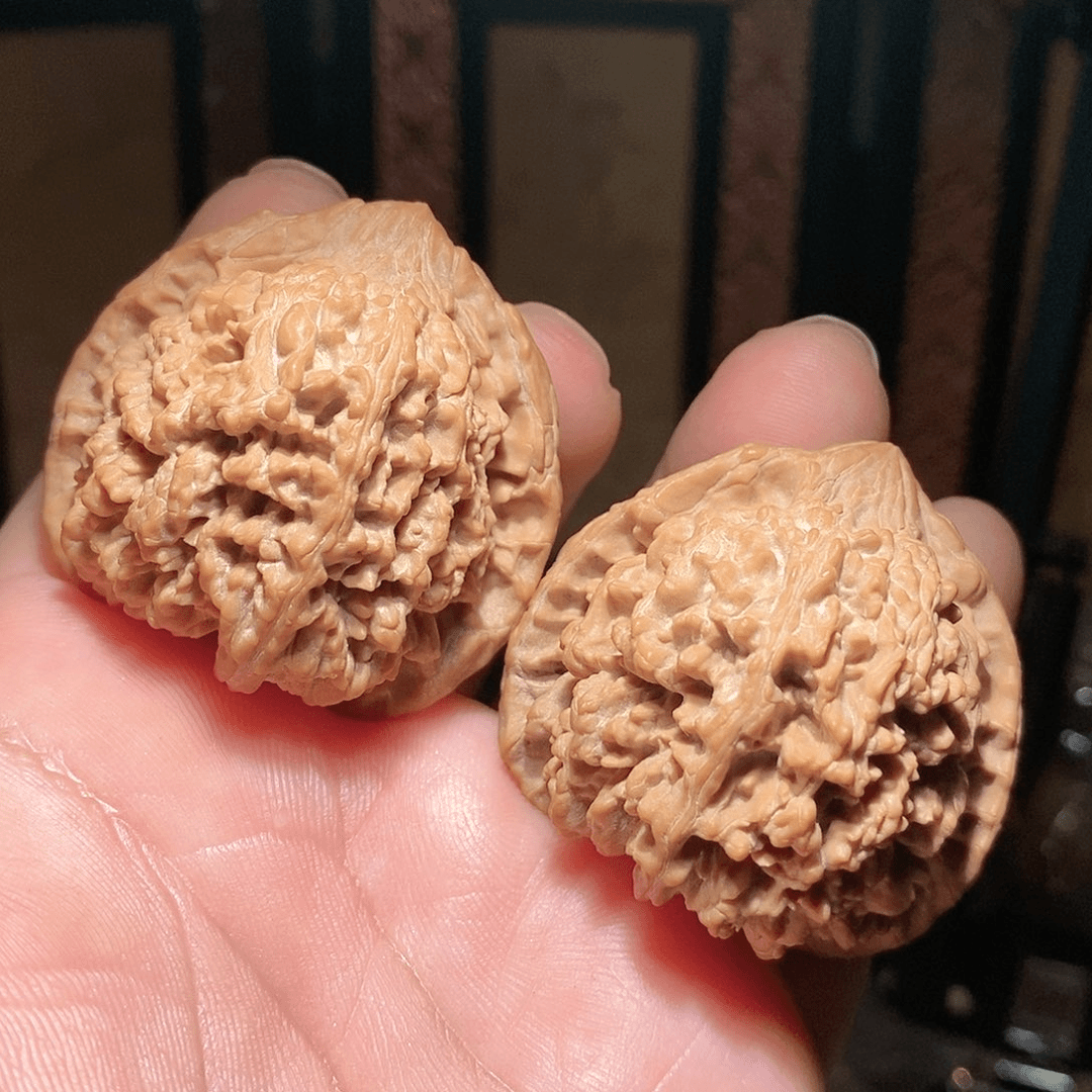 文玩核桃把件43.5满天星全品