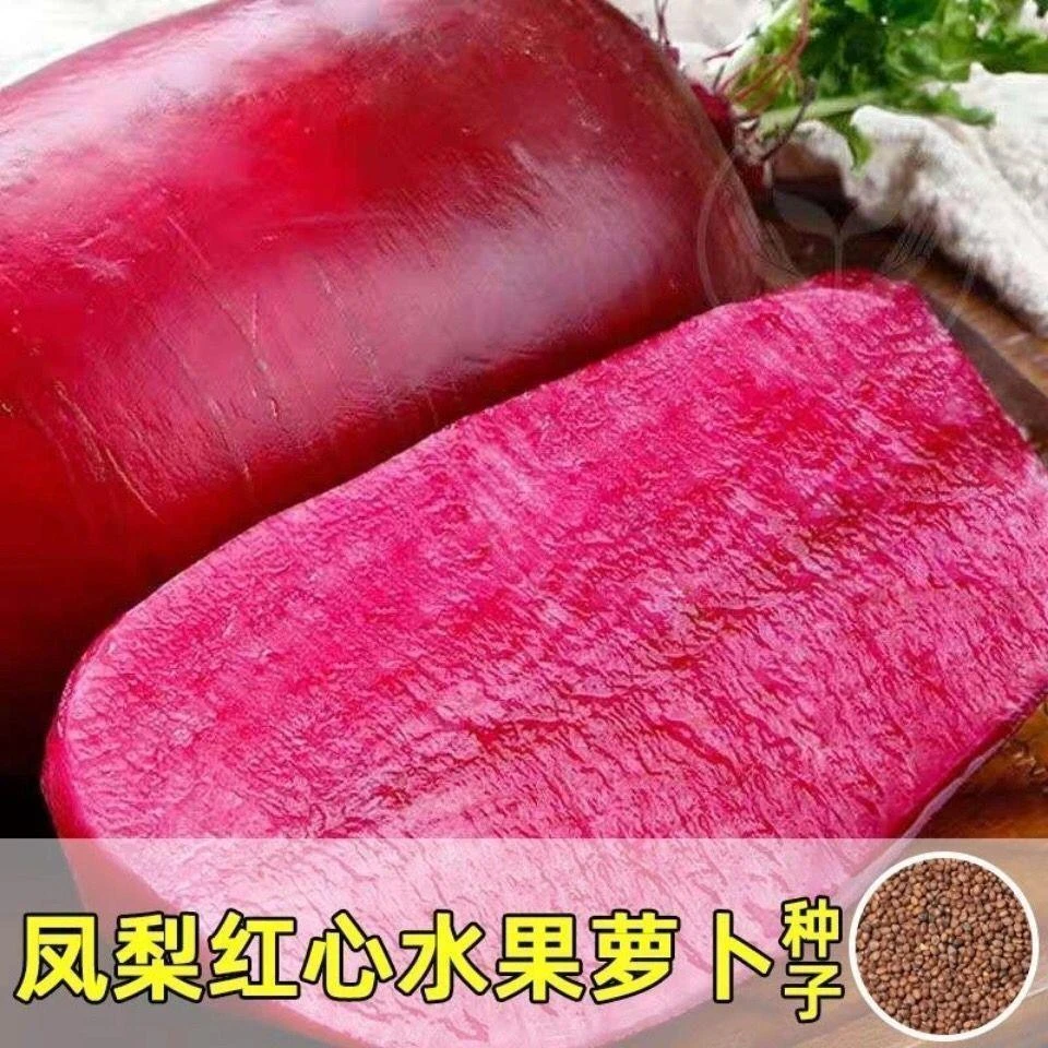 紫美人凤梨水果萝卜种子红心红皮萝卜种籽秋季播阳台盆栽蔬菜种孑