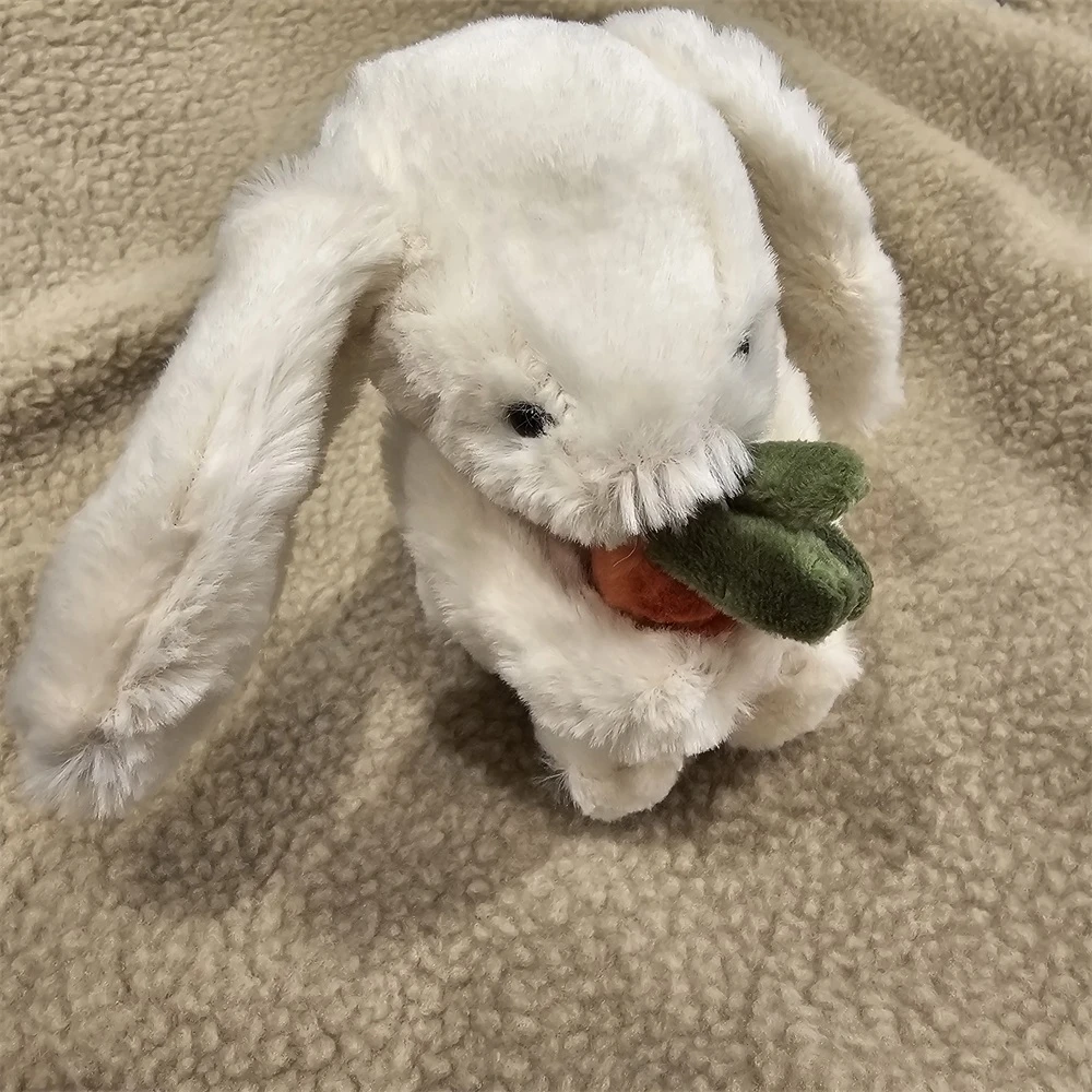 24090610A 小兔抱萝卜玩偶