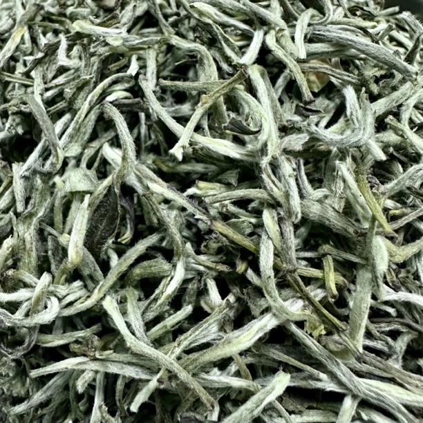 茉莉龙芽 一两装 五窨 政和明前茶胚