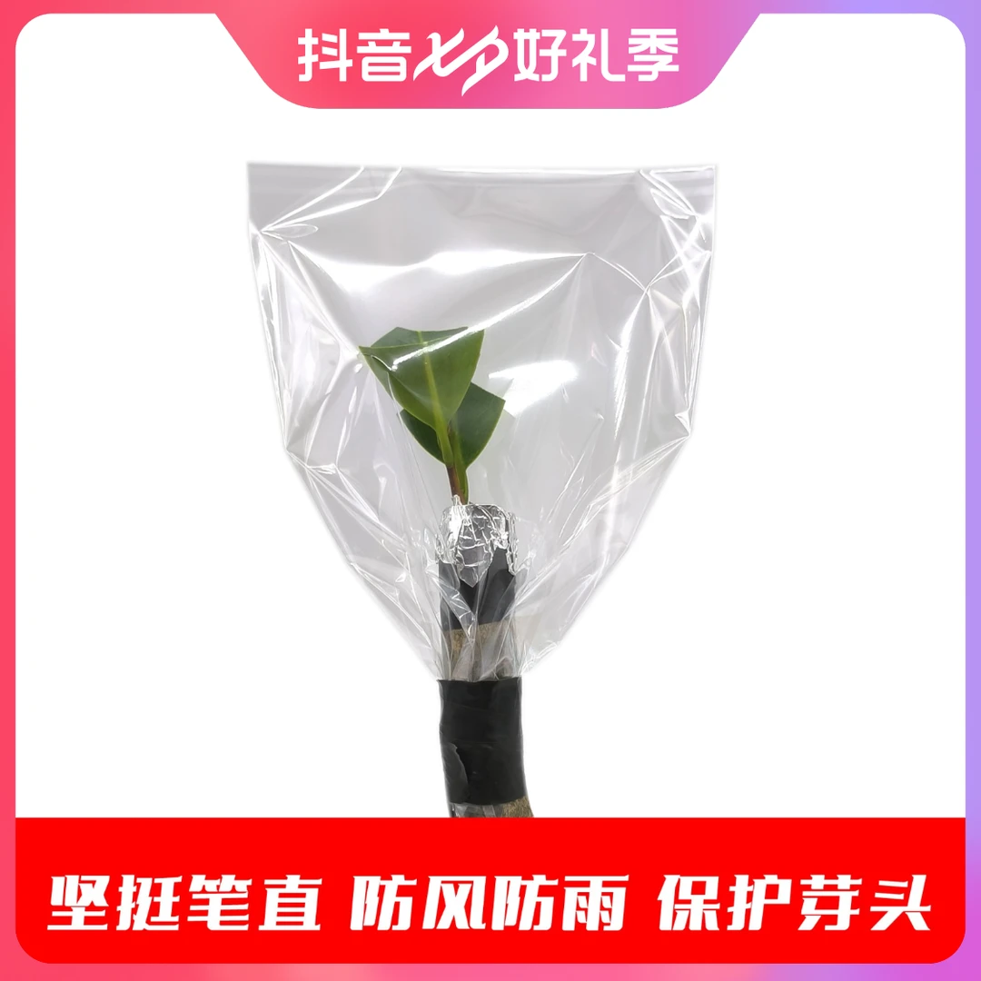 定制款嫁接套袋/高硬度嫁接套袋/风吹不倒雨压不倒/园艺嫁接袋膜