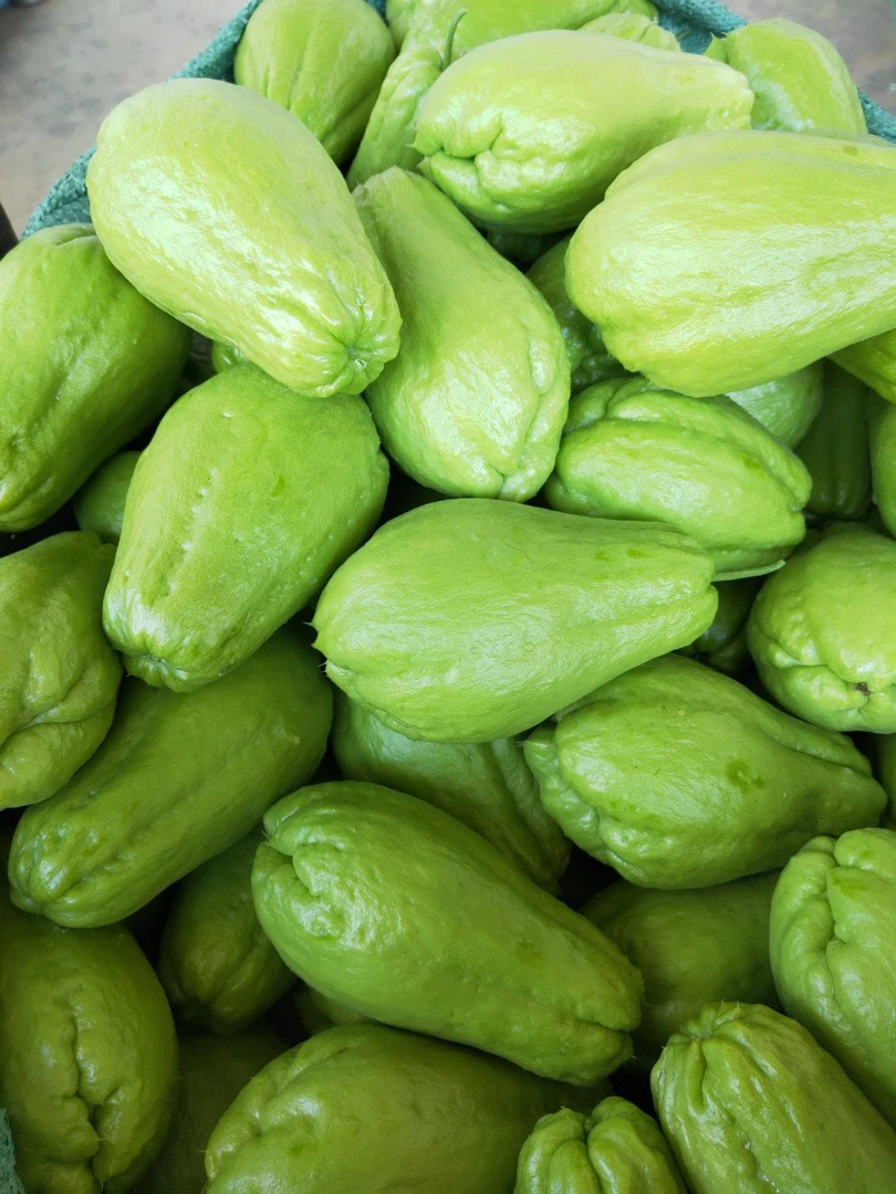 寻滇山货----佛手瓜