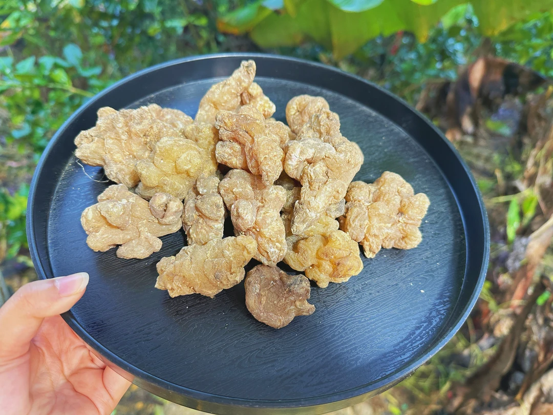 【阿刊収好货】现收土特产 玉-精-苓 250-500克食用农产品