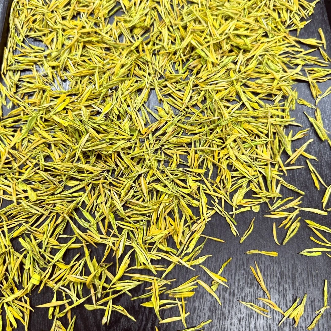 （熊猫奶白茶）黄金芽2025年安吉皇金芽奶香送礼品小芽茶叶春绿茶