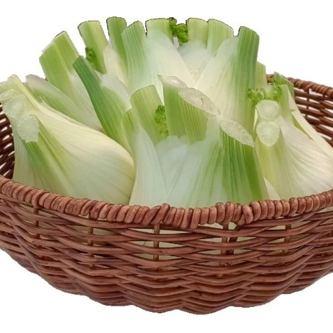 【自营】a【云南高原茴香球】清甜脆爽净重3斤/顺丰包邮农产品