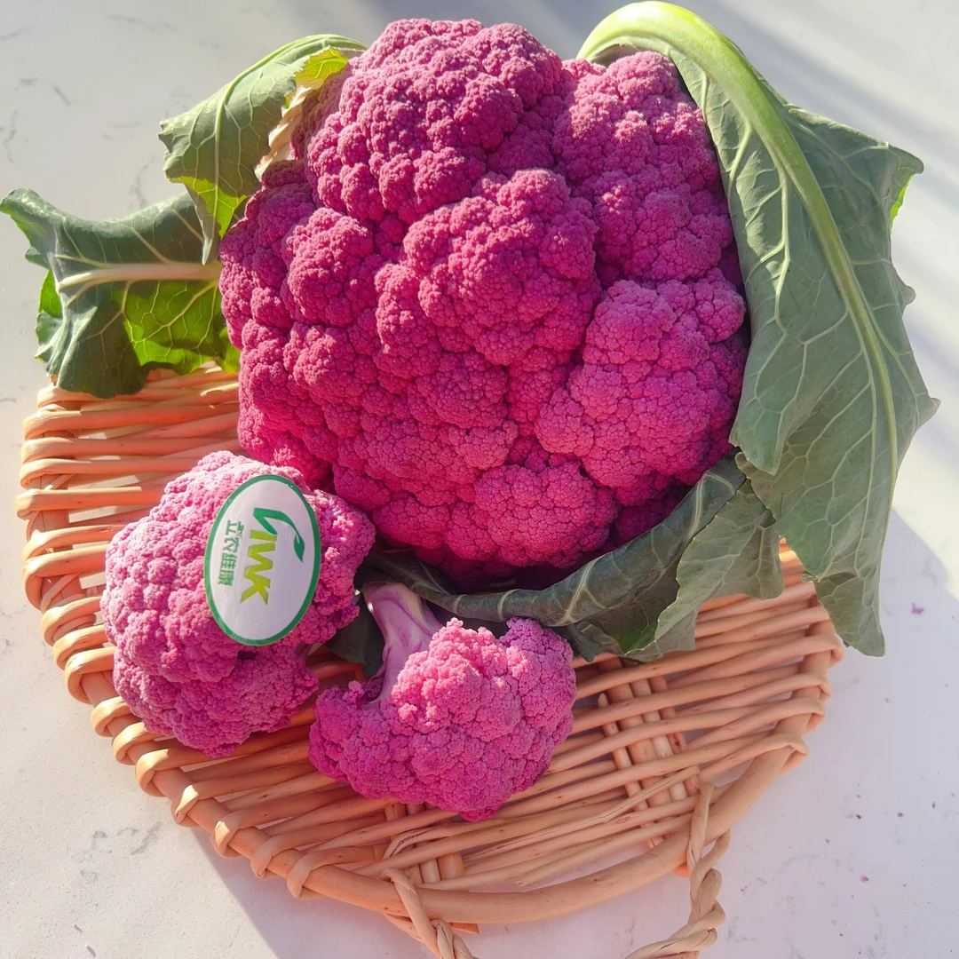 【自营】高原龙紫紫菜花净重3斤    新鲜蔬菜花椰菜