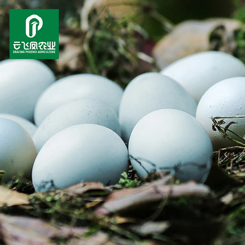 正宗洪江雪峰乌骨鸡蛋土鸡蛋30枚绿壳（不能孵化小鸡）