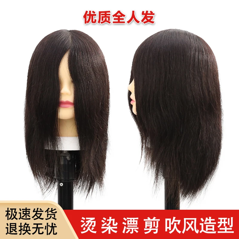 美发模全真发理发师练习剪烫染漂吹风头模美发练习专用全真发头模
