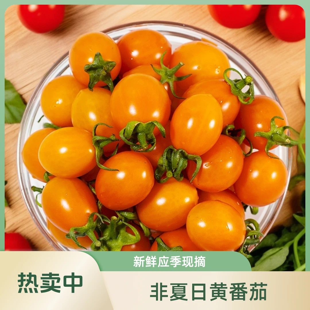 福建珠珠非夏日阳光黄色圣女果应季现摘新鲜水果小番茄西红柿蔬菜