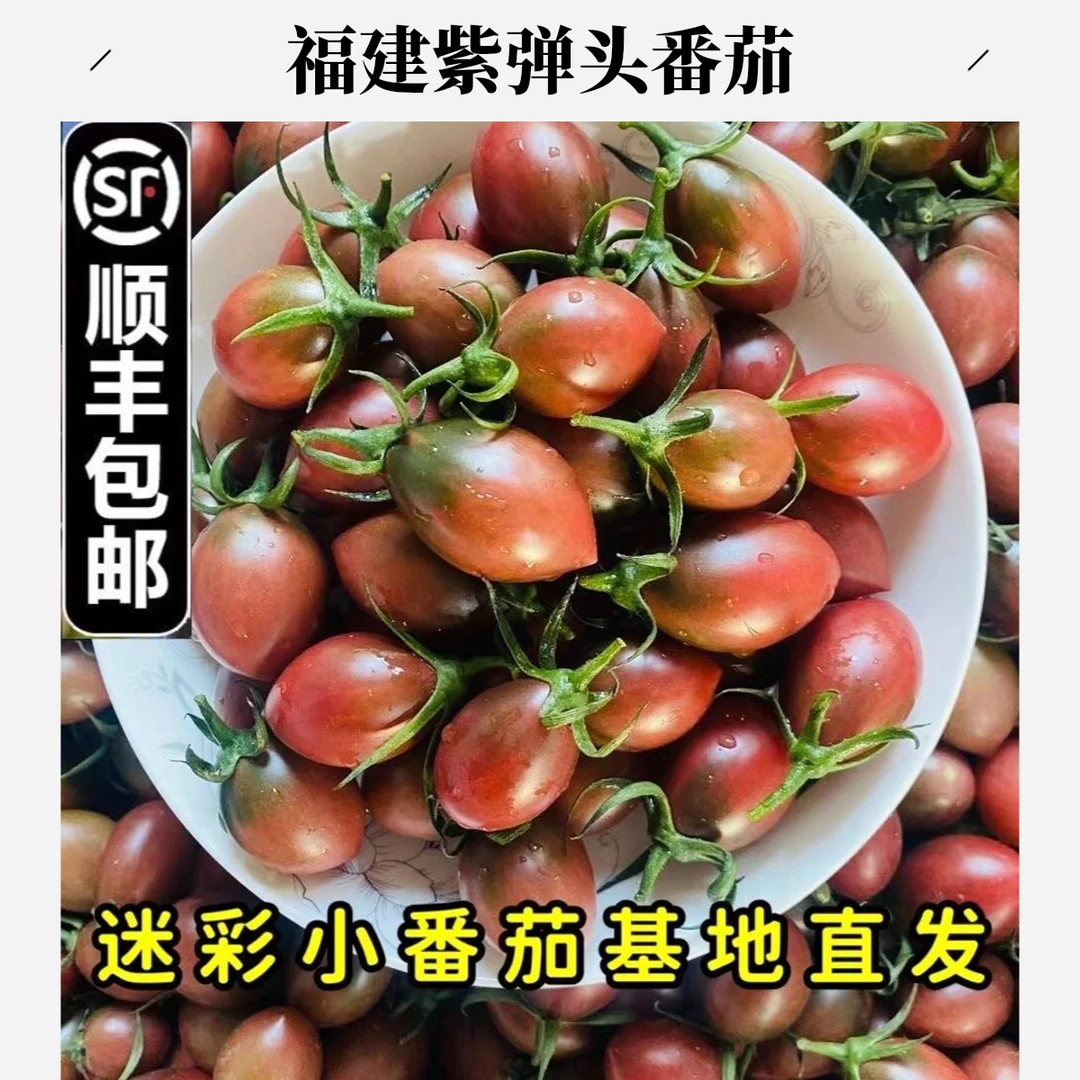 顺丰包邮福建紫弹头天然小番茄新鲜水果蔬非千禧肉脆爆汁1-5斤