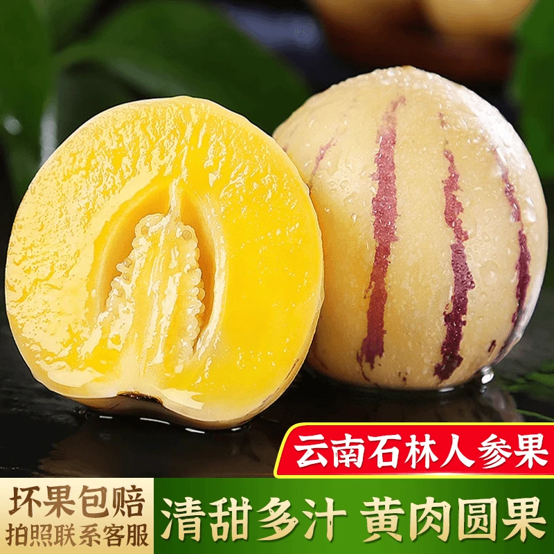 云南石林人参果树上熟黄肉大果清甜皮薄多汁新鲜低糖应季水果ZY